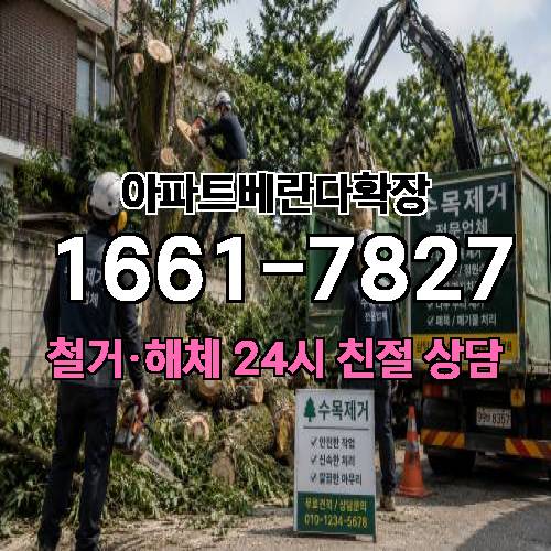 게시판 이미지 1235