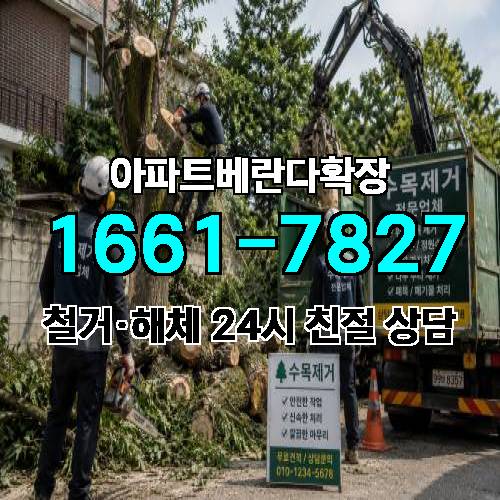 게시판 이미지 249