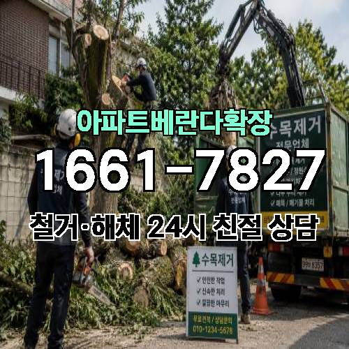 게시판 이미지 2869