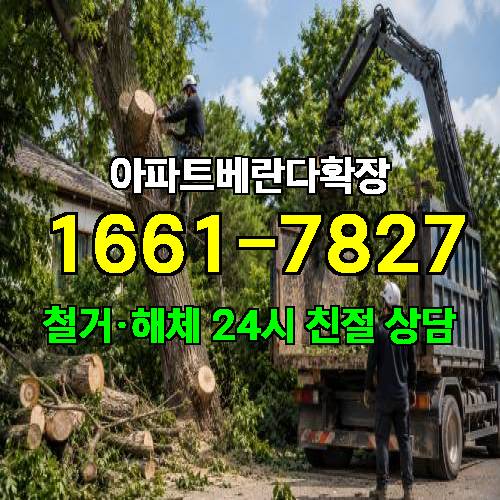 게시판 이미지 556