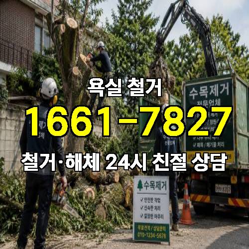 게시판 이미지 2541
