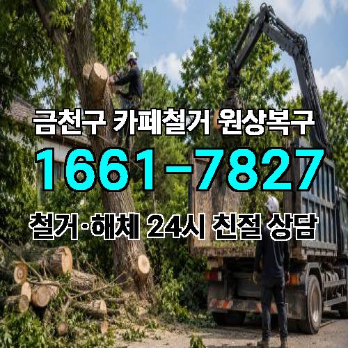 게시판 이미지 6919