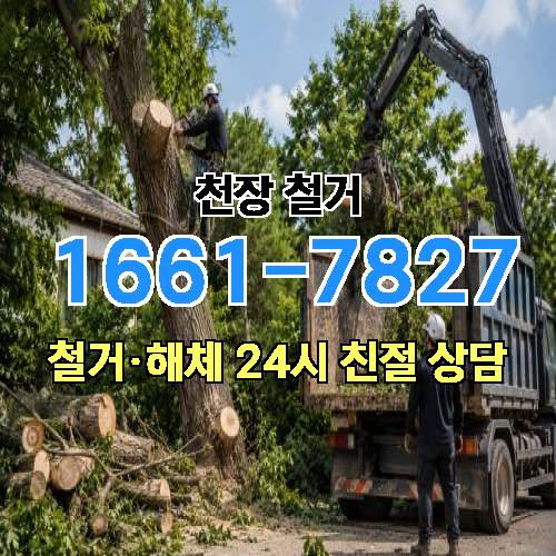 게시판 이미지 1285
