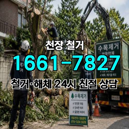 게시판 이미지 1541