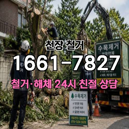 게시판 이미지 515