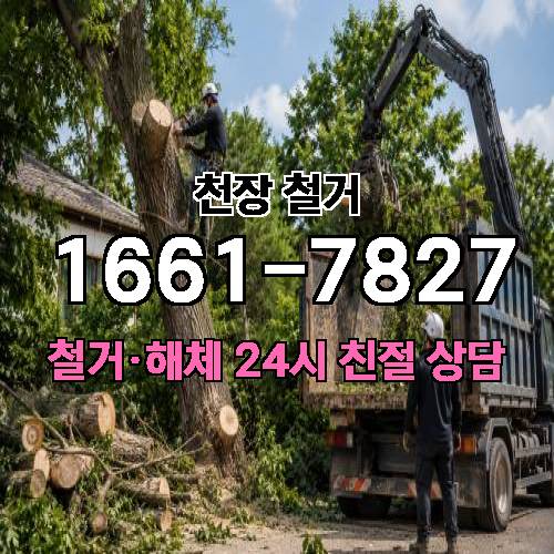 게시판 이미지 517