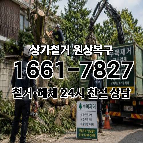 게시판 이미지 549