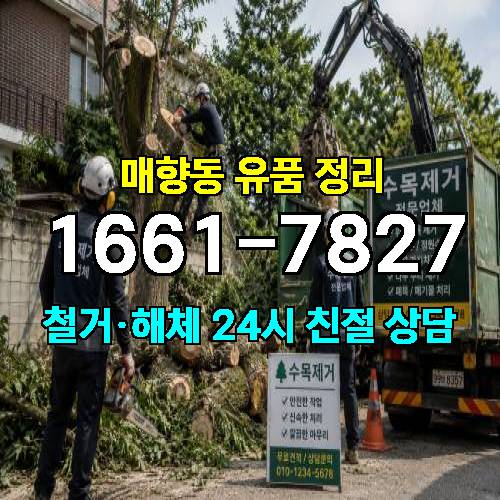 게시판 이미지 5213