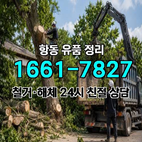 게시판 이미지 5771