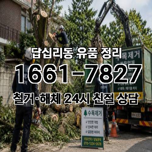 게시판 이미지 5788