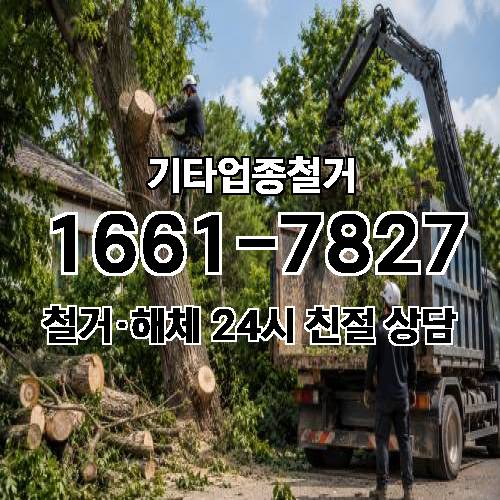 게시판 이미지 8051