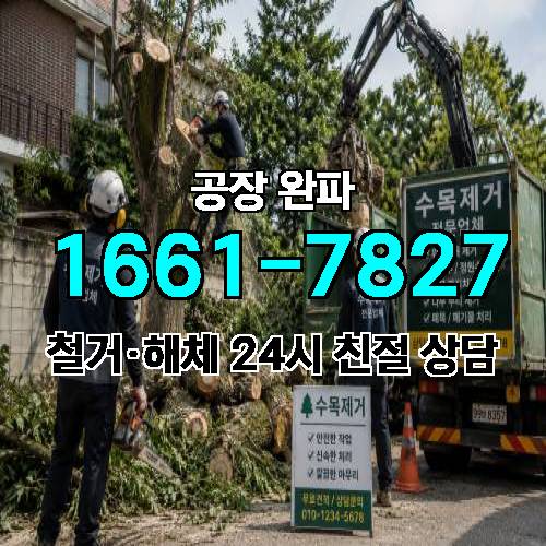 게시판 이미지 2464