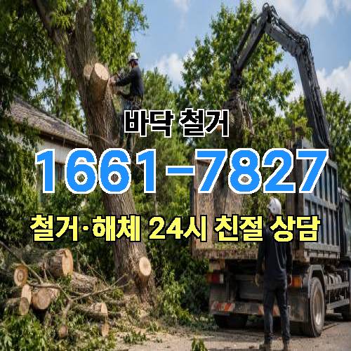 게시판 이미지 2262