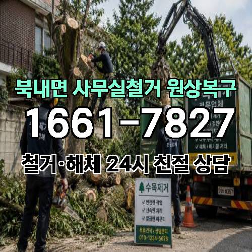 게시판 이미지 6564