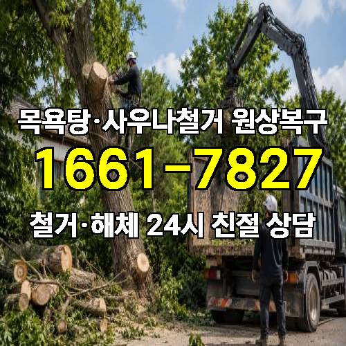 게시판 이미지 847