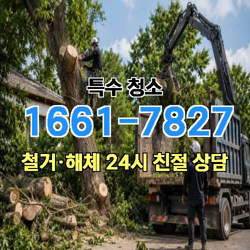 게시판 이미지 3781