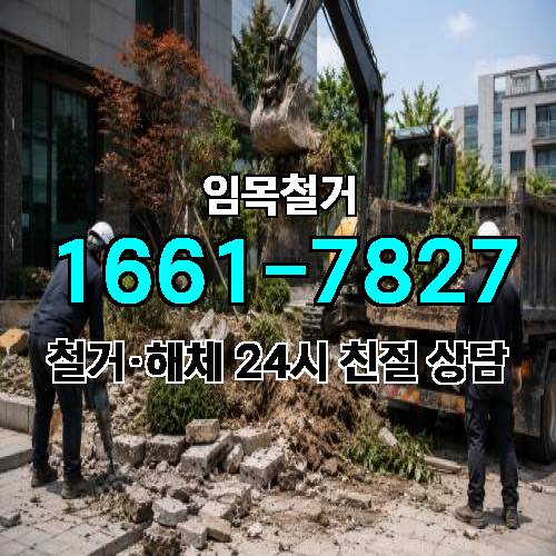 게시판 이미지 1582