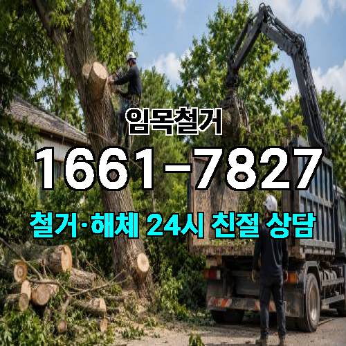 게시판 이미지 2304