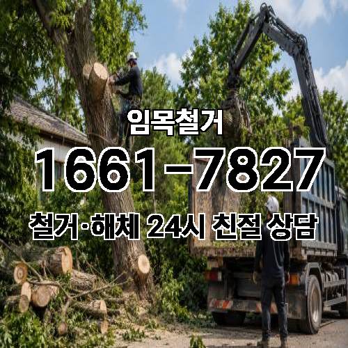 게시판 이미지 3119
