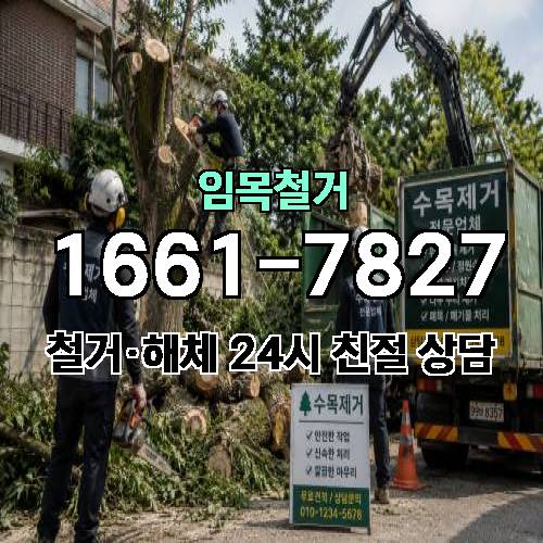 게시판 이미지 4825