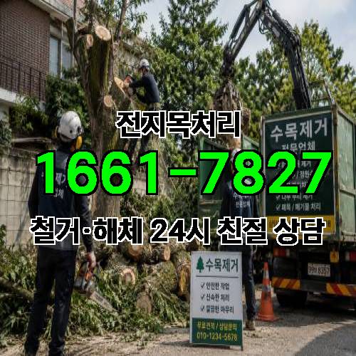 게시판 이미지 3398