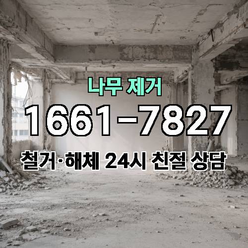 게시판 이미지 1961