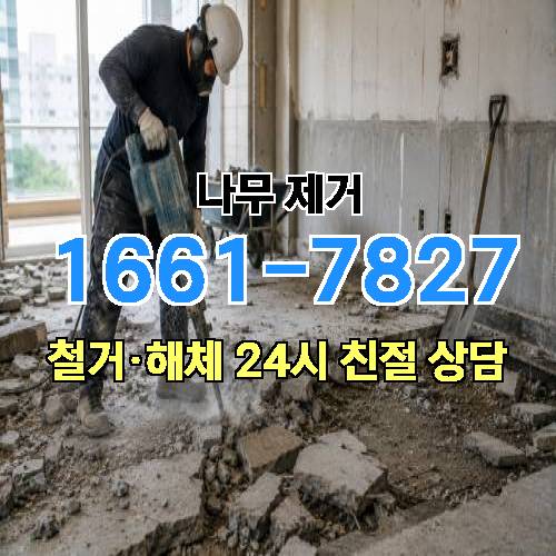 게시판 이미지 1979