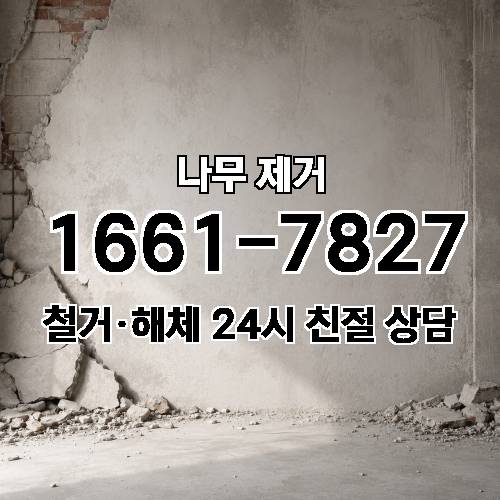 게시판 이미지 2717