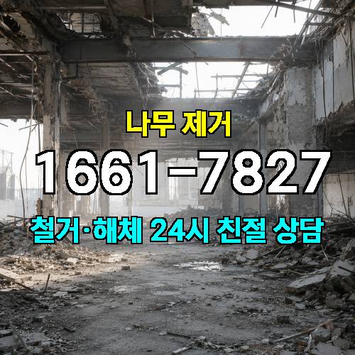 게시판 이미지 3171