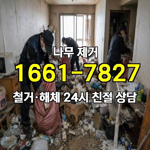 게시판 이미지 804
