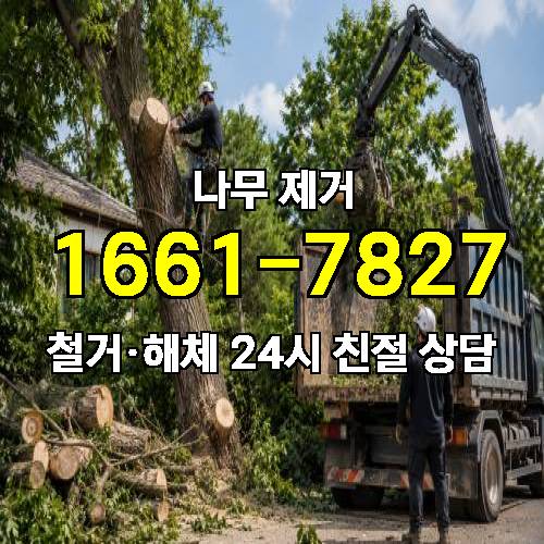게시판 이미지 807