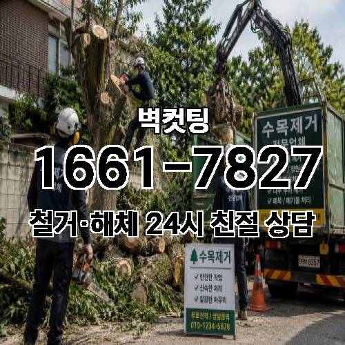 게시판 이미지 2305