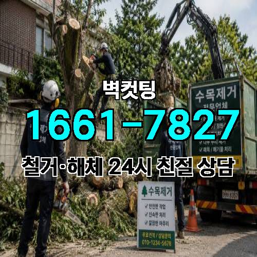 게시판 이미지 4349