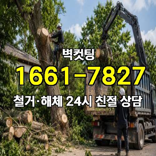 게시판 이미지 4817